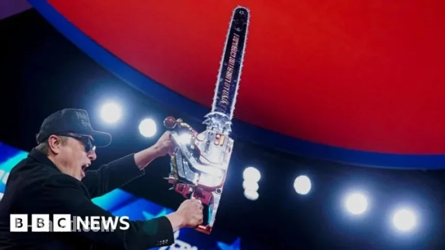 Musk Acknowledges Doge’s Success, Admits He’d Avoid It Again