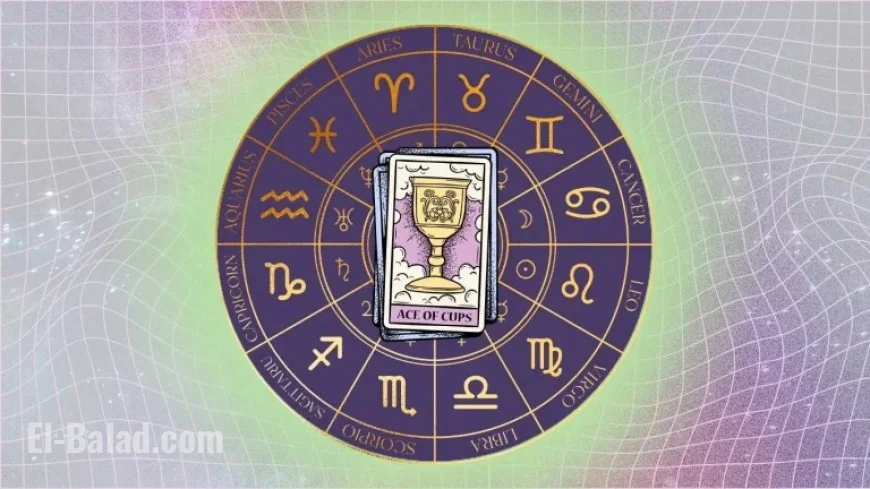 December 10, 2025: Tarot Forecasts for Every Zodiac Sign