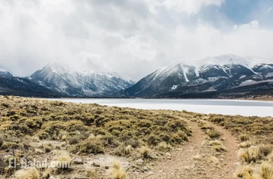 Experts Warn of Unprecedented Phenomenon Spreading Across the US