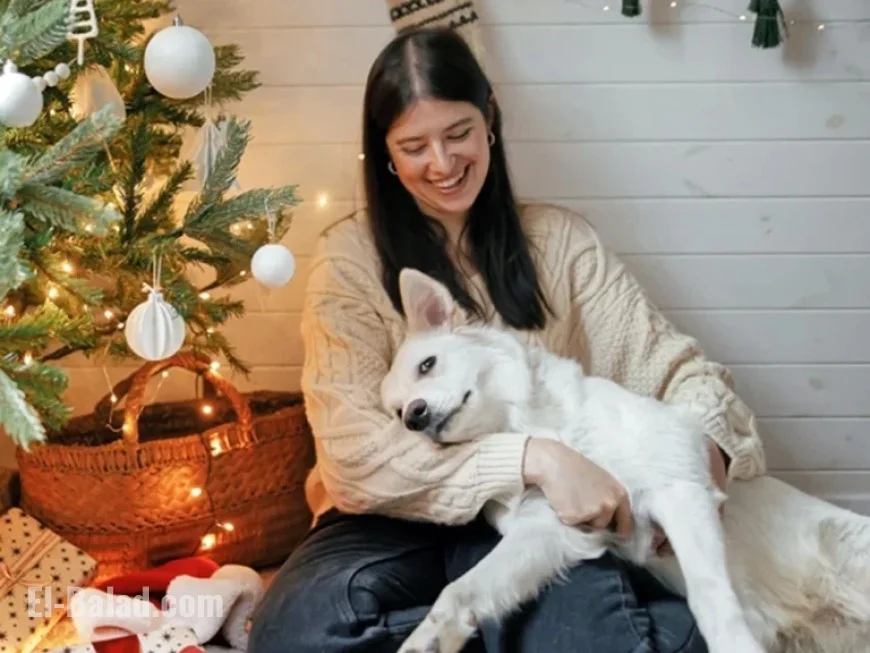 Popular Christmas Songs Your Pet Can’t Stand