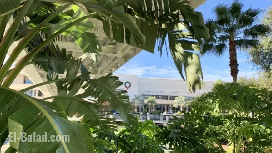 J&J’s Two-Drug Treatment Halts Tumor Growth in Advanced Multiple Myeloma