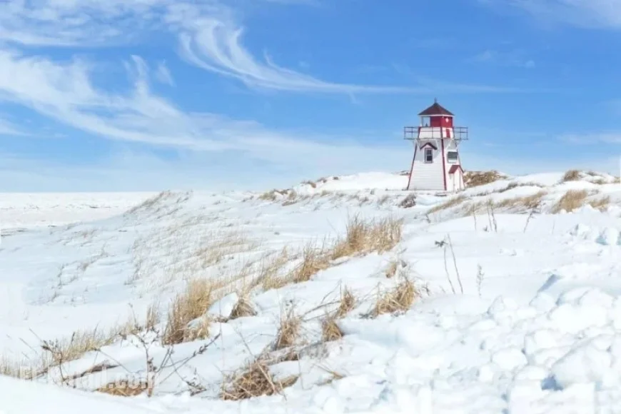 Record 6,000 CEC Invitations Issued in Largest Express Entry Draw in 16 Months