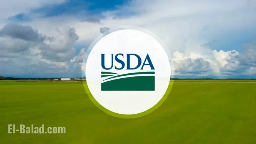 Secretary Rollins Approves SNAP Waivers to Remove Unhealthy Foods in Six States