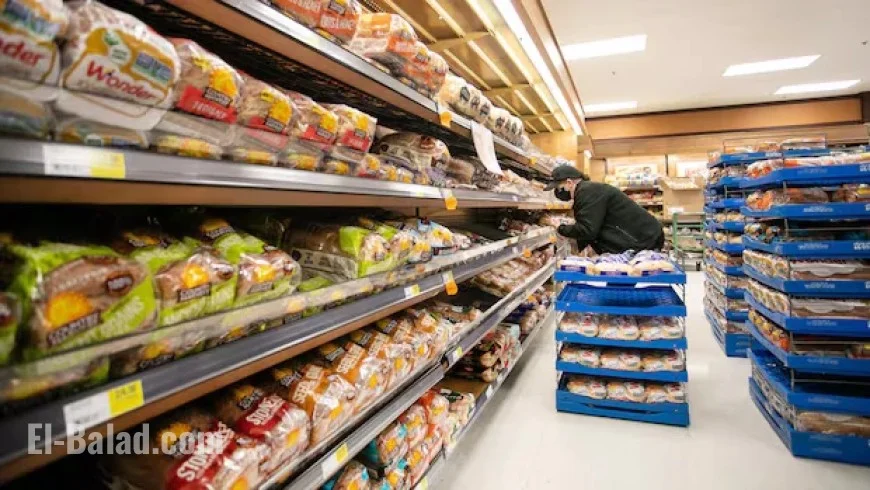 Secure Your Data: How to File a Bread Price-Fixing Settlement Claim