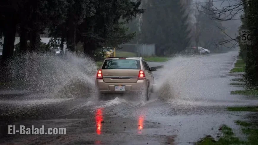 Heavy Rain Sparks Flood Warning for B.C.’s Fraser Valley
