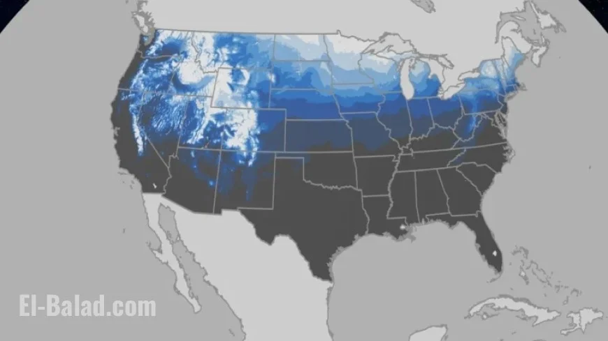 Historical Odds of a White Christmas Revealed
