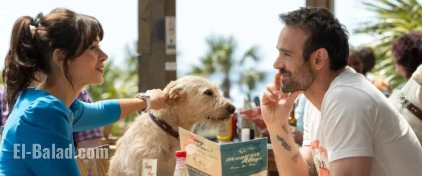 Review and Summary: Merv Movie (2025)