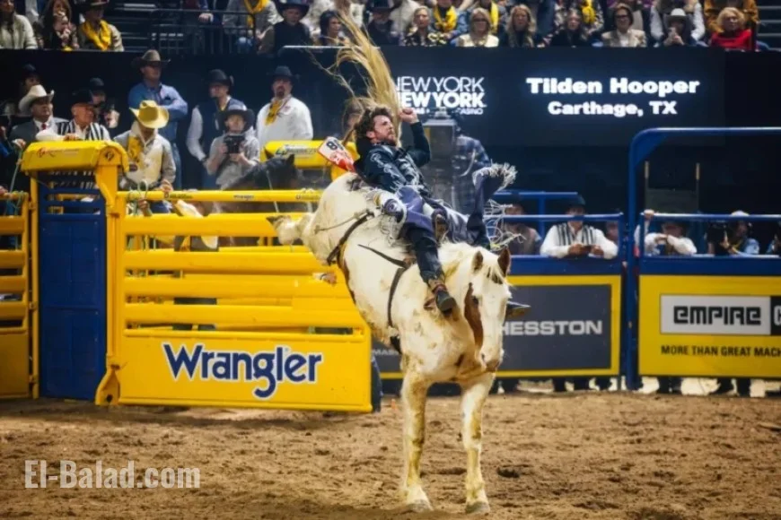 2025 NFR Las Vegas: Third Go-Round Results Unveiled