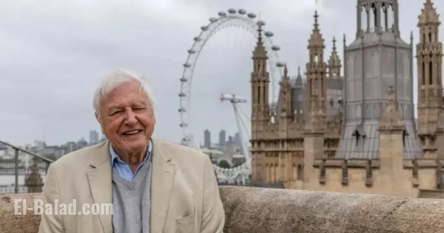 David Attenborough Unveils Fascinating Insights into London’s Urban Wildlife