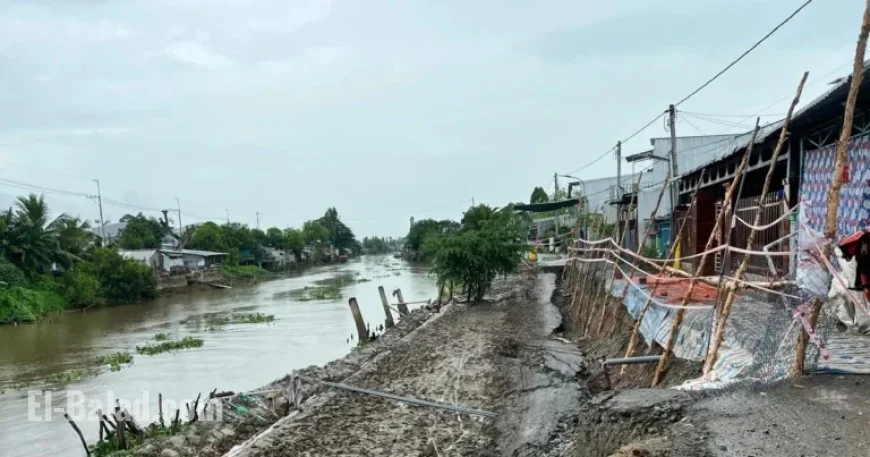 An Giang Erosion: 106 Incidents Cause 12 Billion Dong in Damages