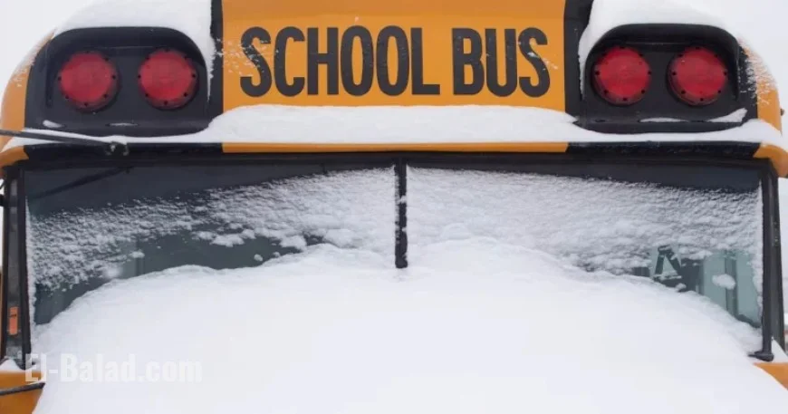 Snowy Conditions Halt School Buses in Parts of the GTHA