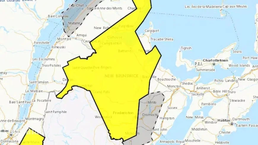 Up to 20 cm of Snow Predicted for Central and Northwestern N.B.