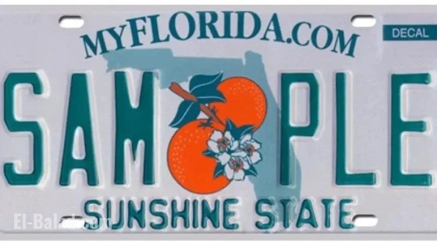 New Florida Law: Are License Plate Frames Now Legal?