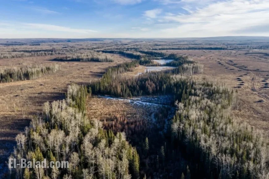 Kevin O’Leary’s Vision: The Reality Behind Wonder Valley Data Center