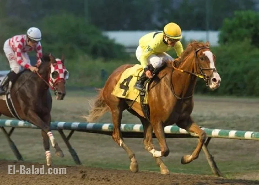 Hastings Racing to End Without Slot Revenue