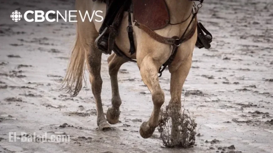 Fond Memories of Horse Racing at Vancouver’s Hastings Racecourse Celebrated