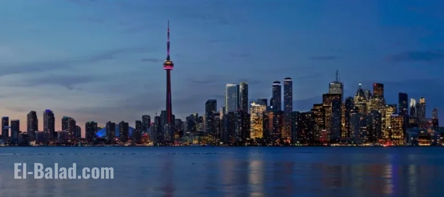 Shark Attack Alert: Immediate Safety Measures Needed