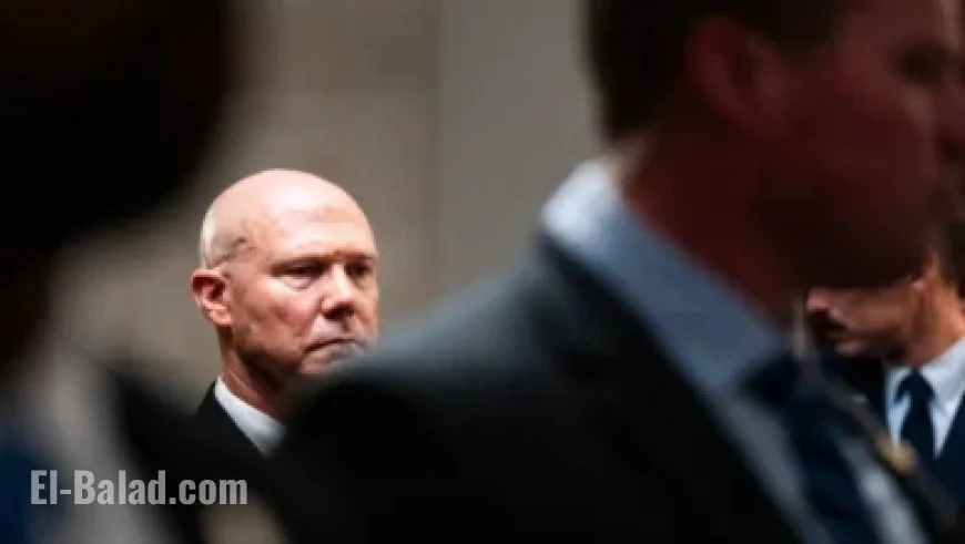 Michigan Eyes Browns OC Tommy Rees for Head Coach Role, Source Reveals