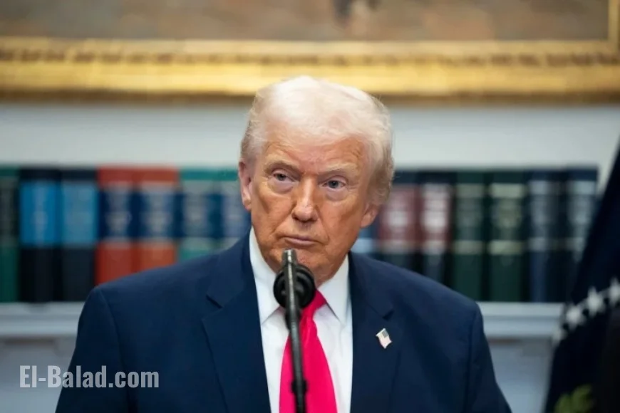 Trump Pardons Colorado County Clerk, Claims Washington Post