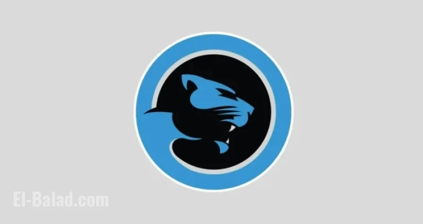 Maximize Carolina Panthers’ Playoff Chances: Week 15 Teams to Support