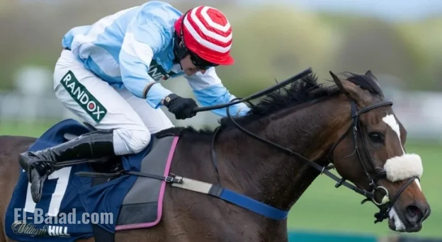 Keith Melrose Highlights Overlooked 20-1 Shot at Cheltenham Friday