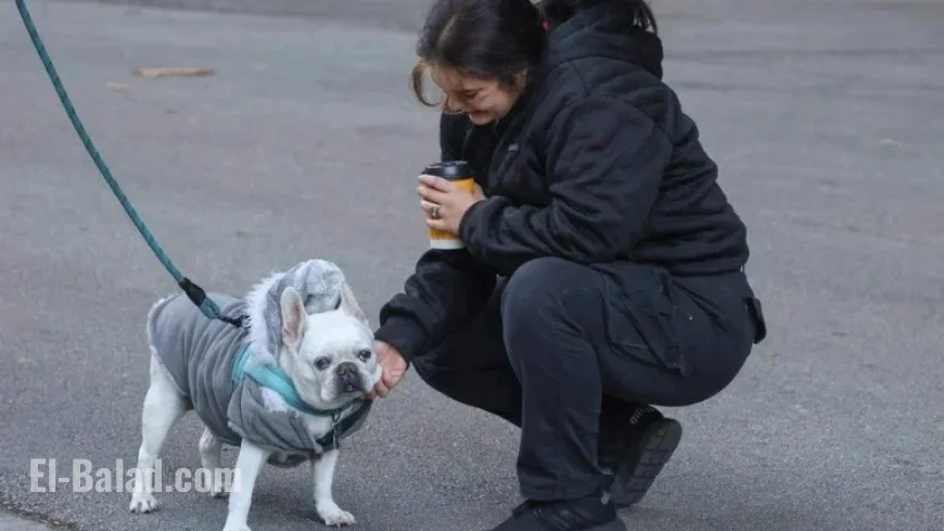 South Florida Cold Snap: When Will the 50s Temperatures End?