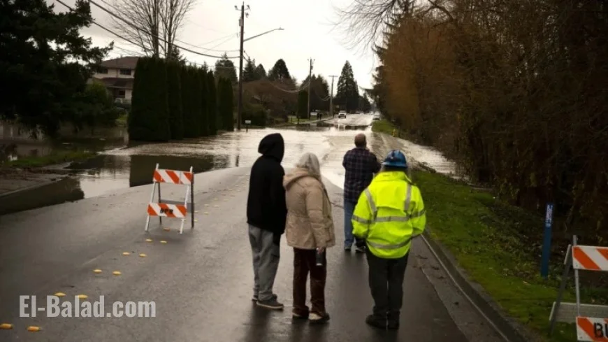 NPR’s The Picture Show: A Visual Delight