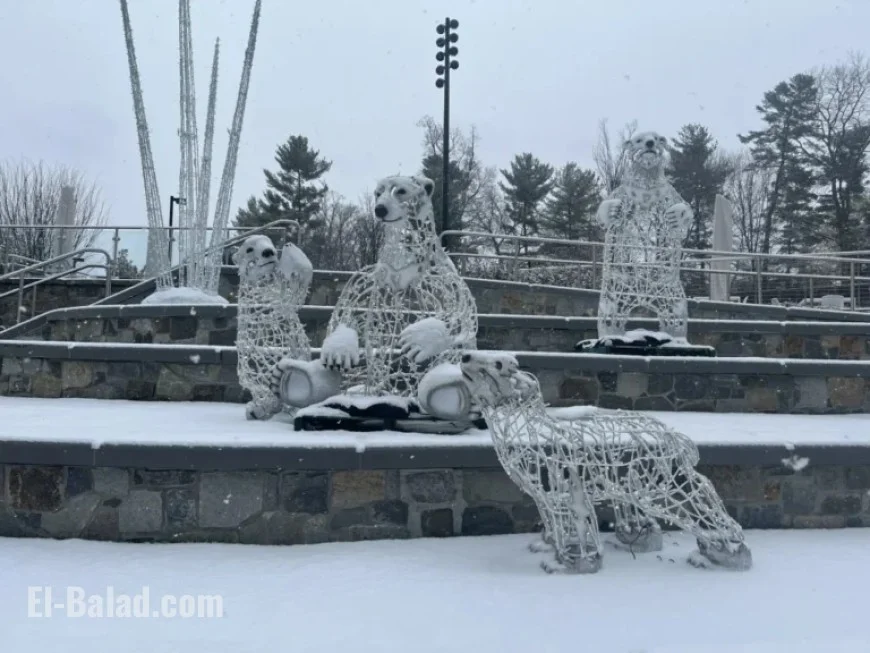 Snowfall Likely in DC Area This Weekend