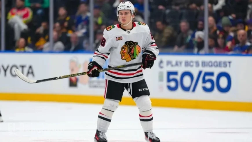 Bedard Makes Significant Progress This Season, Says Blackhawks GM