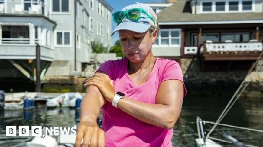 US Recommends Bemotrizinol, a Popular Ingredient in Europe and Asia