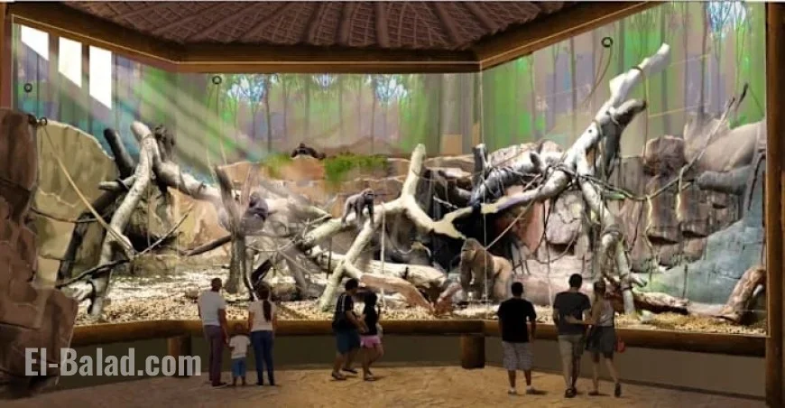 Holiday Tamale Festival Lights Up Congo Falls River