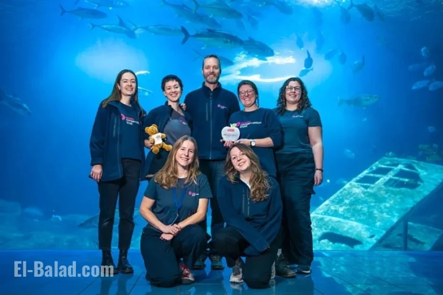 Weekly Highlights: Top Headlines from Plymouth Newspaper