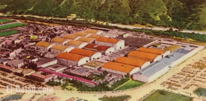 Warner Bros. Acquisition by Netflix or Paramount Reignites Entertainment Oligopolies