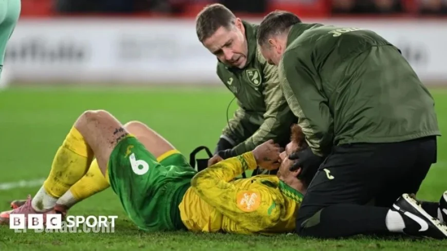 Norwich Anticipate Injury Updates on Sargent and McLean