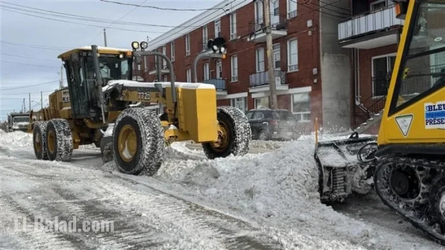 Montreal Mobilizes 3,000 Workers to Clear Streets After Snowfall