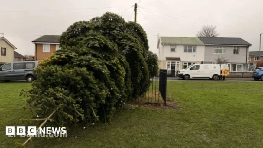 Men Arrested for Cutting Down Shotton Colliery Christmas Tree