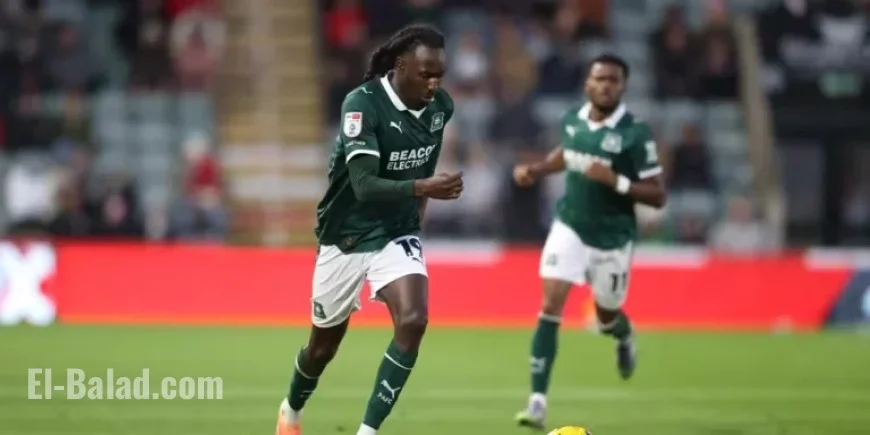 Rotherham United (H): Match Preview