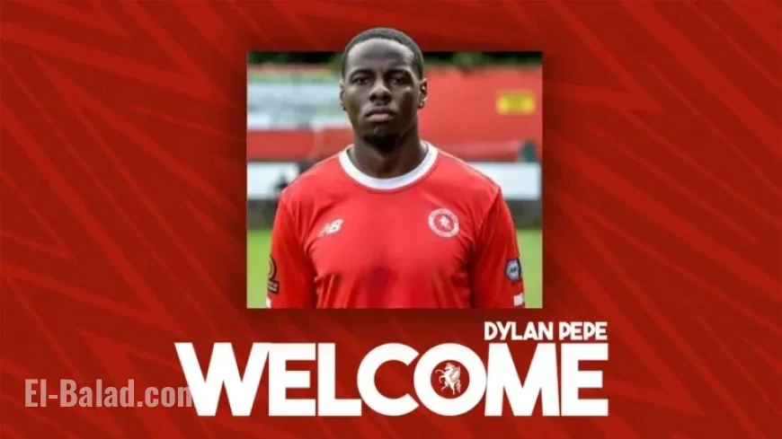 Wings Sign Defender Dylan Pepe for New Season