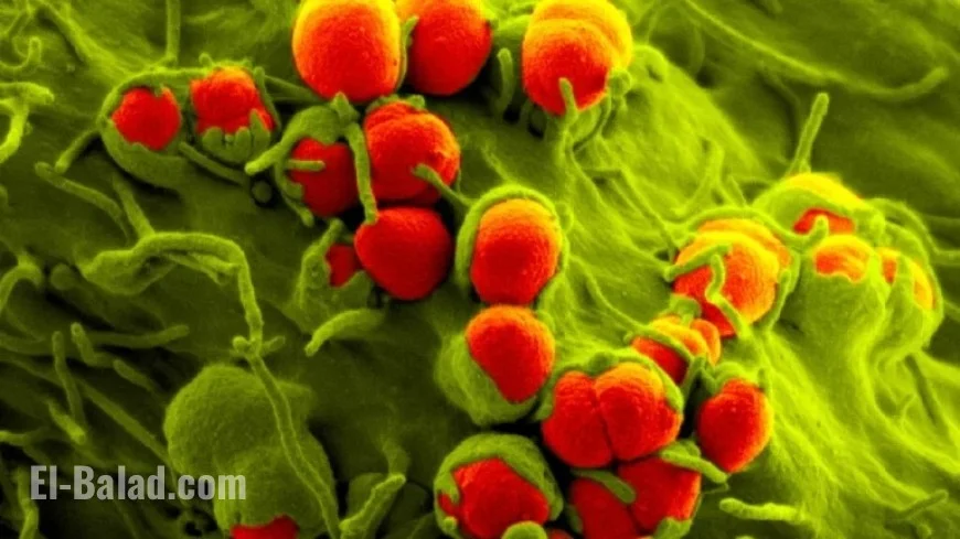 FDA Approves Nuzolvence: New Gonorrhea Treatment Pill Launched