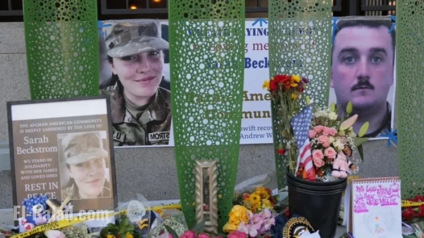 Consider This: Insights from NPR