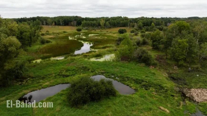 Trump’s EPA Proposes Limiting Federal Water Protections: Impact on Minnesota?