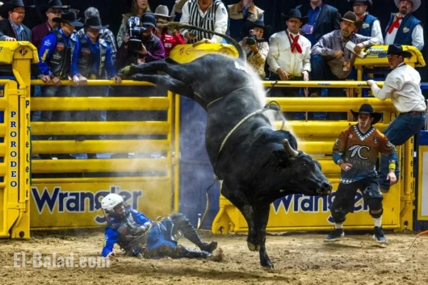 2025 NFR Las Vegas: 9th Go-Round National Finals Rodeo Results