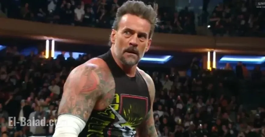 Logan Paul Boosts Pro Wrestling, Says New CM Punk