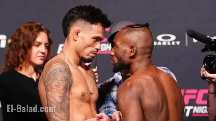 2025’s Final UFC Fight Night: Full Card, Schedule, and Viewing Details