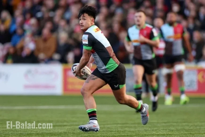 European Rugby Champions Cup: Predictions, Team Updates, Betting Tips, and Odds