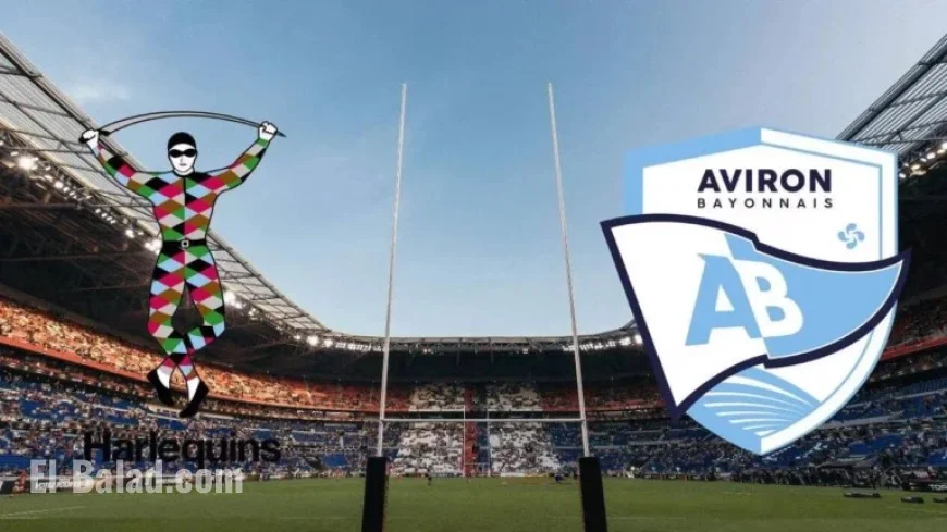 Harlequins vs Bayonne: Champions Cup Live Broadcast Time and Channel
