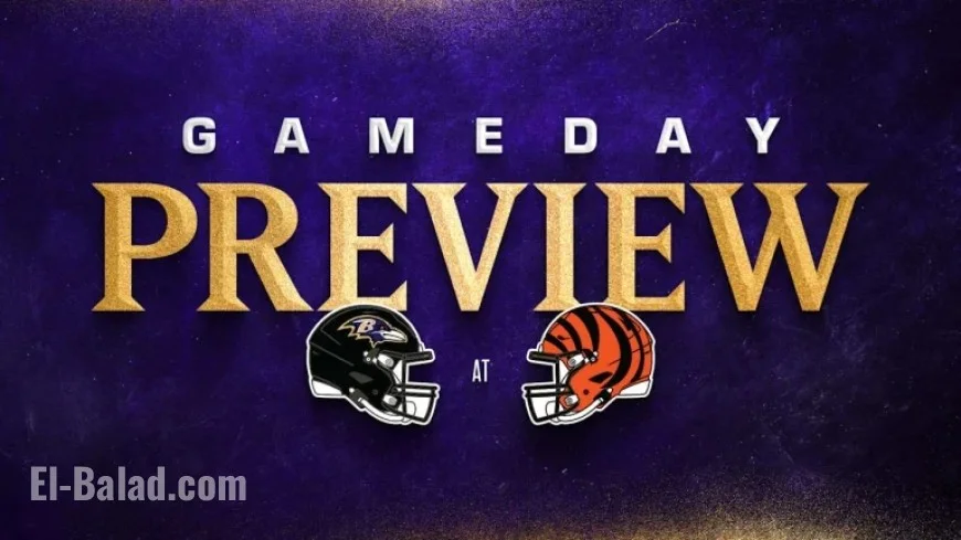 Ravens vs. Bengals: Key Highlights and Essential Information
