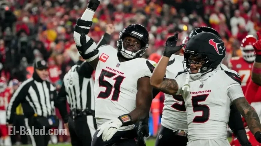 NFL Week 15: Arizona Cardinals vs Houston Texans Predictions and Odds