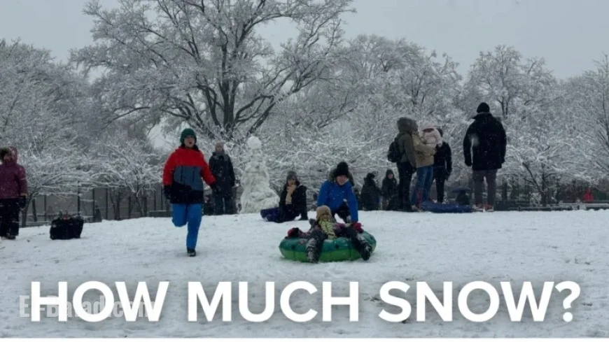 Winter Storm 12/14/25: Snowfall Totals for NYC, NY, NJ, and CT