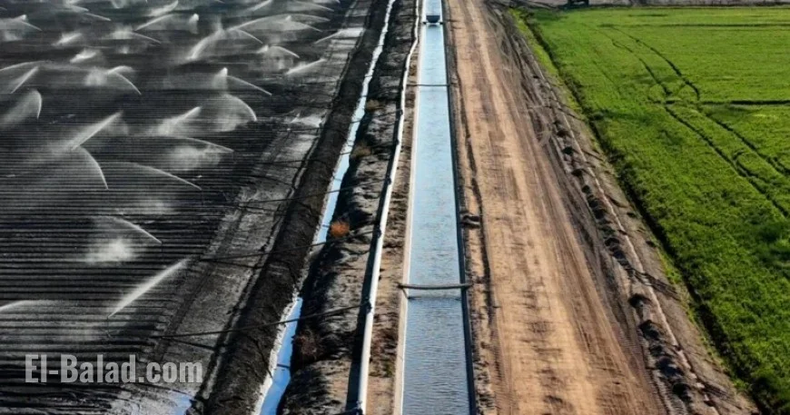 Report Urges Federal Government to Halt Free Distribution of Scarce Water